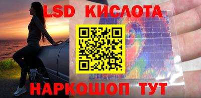 крисы Кулебаки