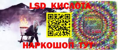 крисы Кулебаки