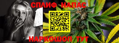 крисы Кулебаки