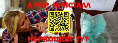 крисы Кулебаки